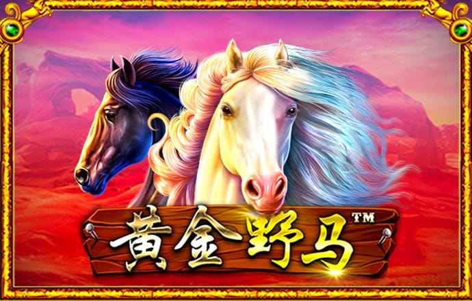 赏金船长试玩平台